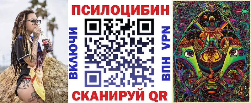 закладки  Владимир  Псилоцибиновые грибы MAGIC MUSHROOMS 